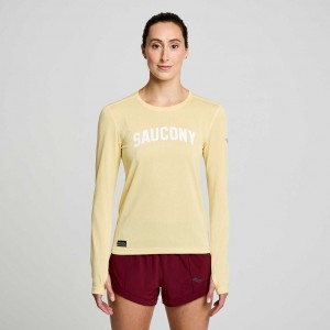 Tricou Saucony Stopwatch Graphic Long Sleeve Dama Galbeni | ROMANIA PXFRZM