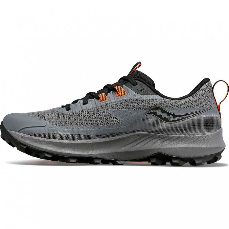 Pantofi Alergare Trail Saucony Peregrine 13 GTX Barbati Gri | ROMANIA WZDAJC