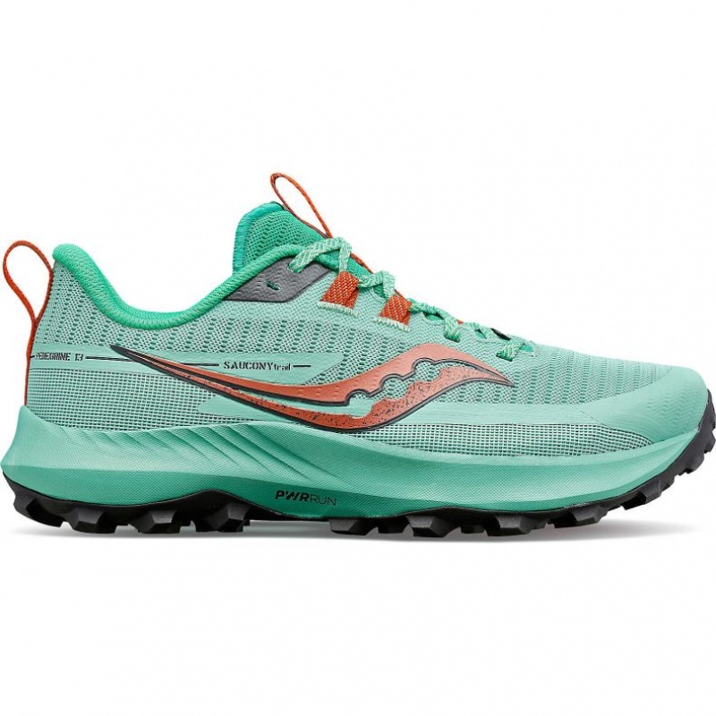 Pantofi Alergare Trail Saucony Peregrine 13 Dama Turcoaz | ROMANIA SCAOQY