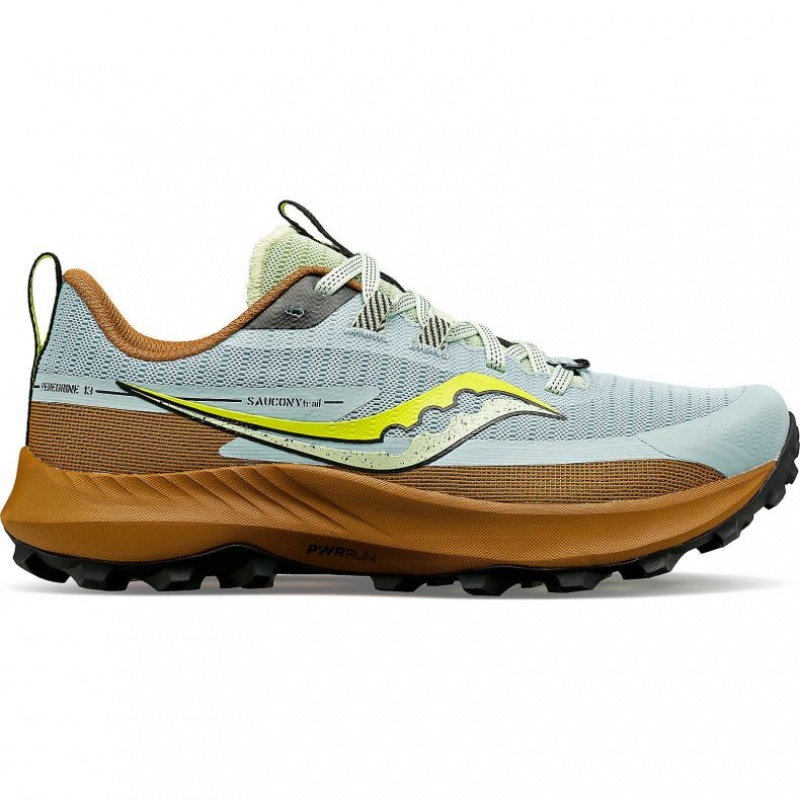 Pantofi Alergare Trail Saucony Peregrine 13 Dama Albastri Deschis Maro | ROMANIA FLHTOD